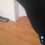 Ciorăpel Șoseta meme Sockie the sock