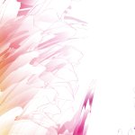 rainbow translucent border