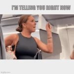 An Unreal Passenger ! | image tagged in gifs,crazy plane lady,great dane | made w/ Imgflip video-to-gif maker