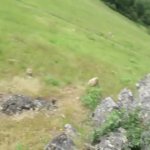 Rock rolling down hill GIF Template