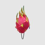 Dragon Fruit From Secret Staycation meme