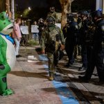 frogman meme