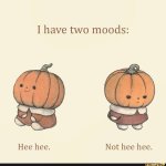 I have two moods