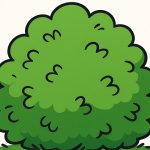 bush