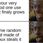 Disappointed Black Guy | your very good one use plant finaly grows; some random kid made of robux steals it | image tagged in disappointed black guy | made w/ Imgflip meme maker