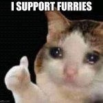 I do actually | I SUPPORT FURRIES | image tagged in sad thumbs up cat | made w/ Imgflip meme maker