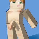 WHOS BEEN DRAWIN DIKS