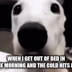 Cold | WHEN I GET OUT OF BED IN THE MORNING AND THE COLD HITS ME | image tagged in gifs,memes,funny | made w/ Imgflip video-to-gif maker