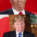 How many kinds of stupid are there? Let me count the ways. Trump meme