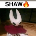 is this true chat? | NOBODY:
LITTLE KIDS WHEN THEY WEAR THERE MARIO T-SHIRT | image tagged in shaw meme silksong | made w/ Imgflip meme maker