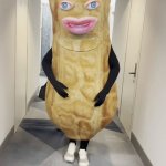 Peanut Costume
