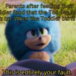 Just cook the food so it tastes better | Parents after feeding their Toddler food that the Toddler always barfs up, When the Toddler barfs it Up | image tagged in this is entirely your fault | made w/ Imgflip meme maker