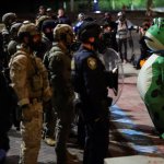 Portland frog faces feds