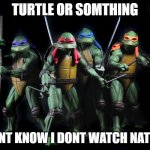 Impact | TURTLE OR SOMTHING; IDONT KNOW I DONT WATCH NATGEO | image tagged in impact | made w/ Imgflip meme maker