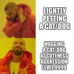 Drake Blank | LIGHTLY PETTING A CAT/DOG; HUGGING A CAT/DOG AT CUTENESS AGGRESSION LEVEL 9999 | image tagged in drake blank,funny,relatable,cats,cuteness agression,cuteness overload | made w/ Imgflip meme maker