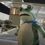 Portland Frog template