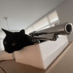 This Black Cat has a GUN-