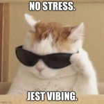 Cool cat | NO STRESS. JEST VIBING. | image tagged in cool cat,cat,cats,funny cats,funny animals | made w/ Imgflip meme maker