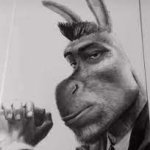 Suit Donkey