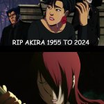 arika's death makes ariel cry | RIP AKIRA 1955 TO 2024; WE WILL MISS YOU ARIKA | image tagged in what makes ariel cry,arika,died,we will miss you,when your sad you understand the lyrics,dragon ball z | made w/ Imgflip meme maker