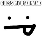 Blank White Template | GUESS MY USERNAME | image tagged in blank white template | made w/ Imgflip meme maker