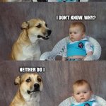 Sssniperwolf better not find me | DO YOU KNOW WHY I’M TALKING TO YOU? I DON’T KNOW. WHY? NEITHER DO I; THIS MEME HAS THE SAME HUMOUR AS A SSSNIPERWOLF VIDEO | image tagged in memes,dad joke dog | made w/ Imgflip meme maker