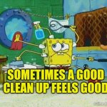 Sometimes a good clean up feel good | SOMETIMES A GOOD CLEAN UP FEELS GOOD | image tagged in cleaning,autism,tidy up,wellbeing,hygiene | made w/ Imgflip meme maker