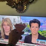 threat to democracy  threat to democracy template