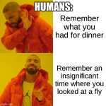 am I right? | HUMANS:; Remember what you had for dinner; Remember an insignificant time where you looked at a fly | image tagged in memes,drake hotline bling | made w/ Imgflip meme maker