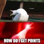 IDK HOW | HOW DO I GET POINTS | image tagged in inhaling seagull | made w/ Imgflip meme maker