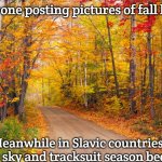 fall leaves texas | Everyone posting pictures of fall leaves; Meanwhile in Slavic countries: *gray sky and tracksuit season begins* | image tagged in fall leaves texas,slavic countries | made w/ Imgflip meme maker