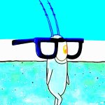 plankton