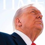 trump's microcephalism meme