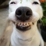 Pov: Me laughing at a Tiktok