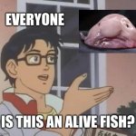 Who's gonna tell them | EVERYONE; IS THIS AN ALIVE FISH? | image tagged in memes,is this a pigeon,blobfish | made w/ Imgflip meme maker