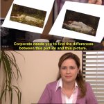 Don't Be Too Swift To Judge It | image tagged in the office pam,ophelia,taylor swift,video,painting | made w/ Imgflip meme maker