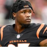 Tee Higgins