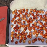 Cherry tomatoes, cut in half ready for freezing