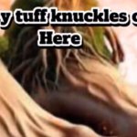 Timmy tuff knuckles over here