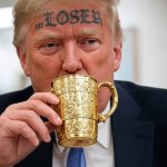 Donald Trump Loser Orange-faced clown MAGA