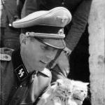 Nazi Kittens