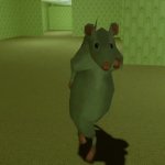 Rat dancing GIF Template
