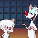 Pinky and the brain