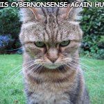 This cyber nonsense again huh | THIS CYBERNONSENSE AGAIN HUH? | image tagged in glaring cat is not amused | made w/ Imgflip meme maker