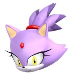 Blaze the cat head