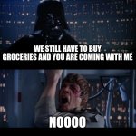 Mother and child somewhere right now. | WE STILL HAVE TO BUY GROCERIES AND YOU ARE COMING WITH ME; NOOOO | image tagged in memes,star wars no | made w/ Imgflip meme maker