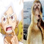 Is this ragebait? meme
