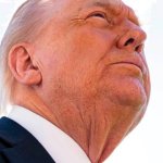 A Republican Male's Guide to Locating the Clitoris