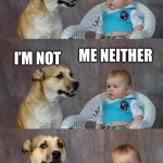 Dad Joke Dog 2 | I HEARD THAT 1/5 OF PEOPLE ARE DUMB; ME NEITHER; I’M NOT | image tagged in funny memes | made w/ Imgflip meme maker