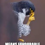 Silver Linings On Red Day | CLOSING RED ON A FRIDAY; MEANS FAVOURABLE CFD WEEKEND RATES | image tagged in pensive peregrine | made w/ Imgflip meme maker